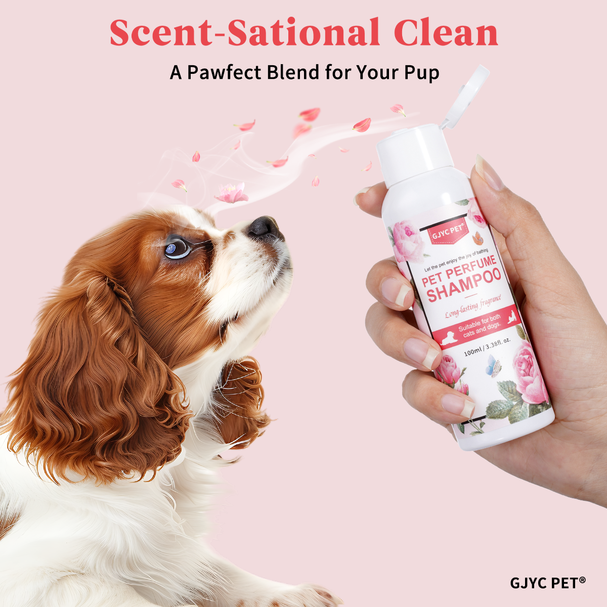 Perfumed Pet Shampoo for Dogs  - Perfume Fragrance Shampoo 리뷰 및 가격