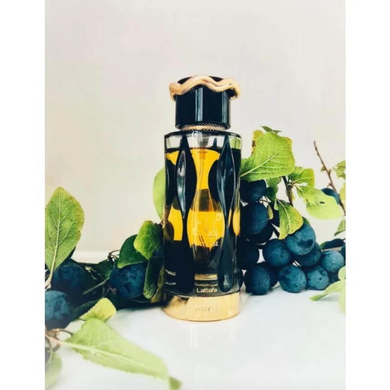 Unisex Oriental Spicy Perfume  - Perfume Fragrance Notes 리뷰 및 가격