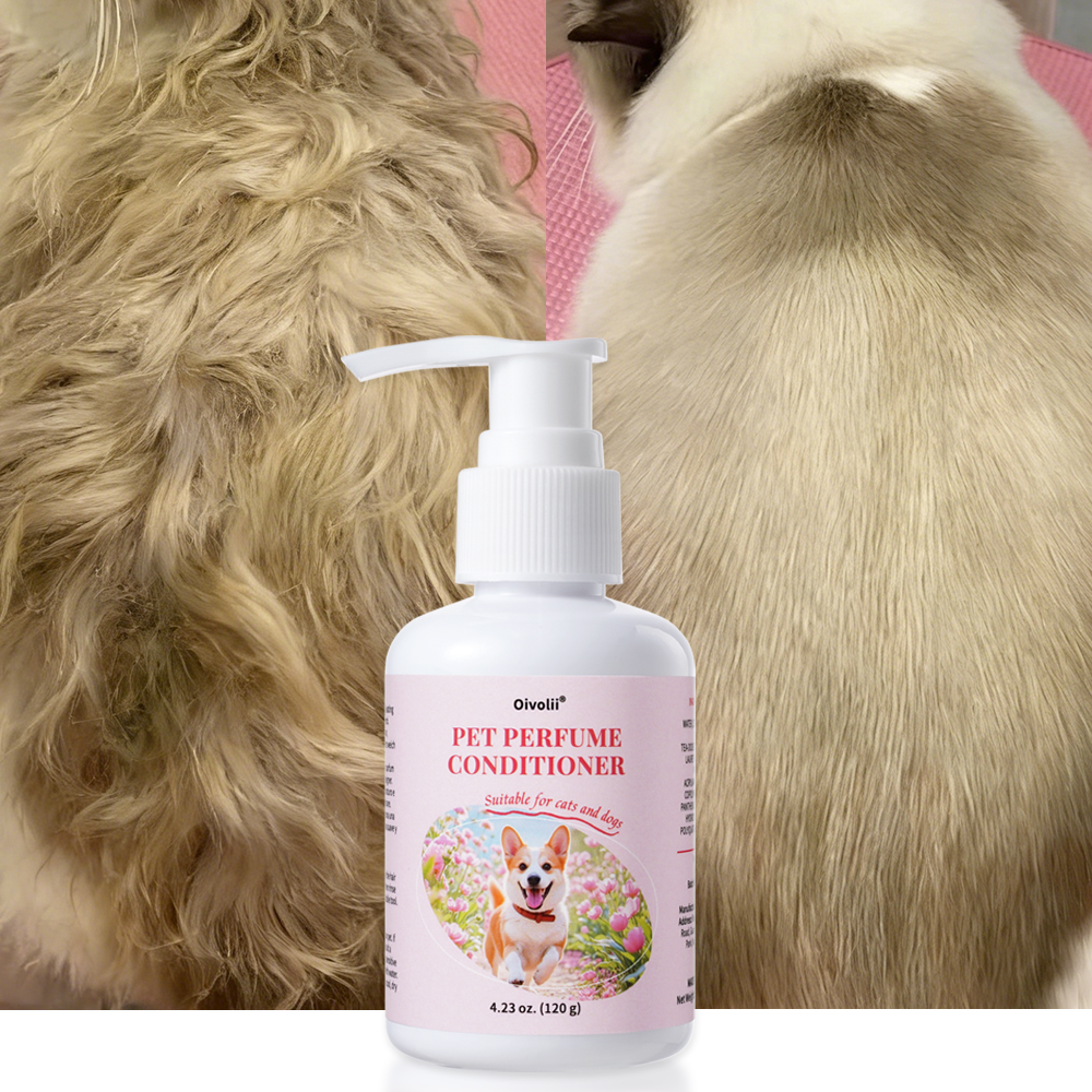 Pet Perfume Conditioner for Do - Perfume Fragrance Shampoo 리뷰 및 가격