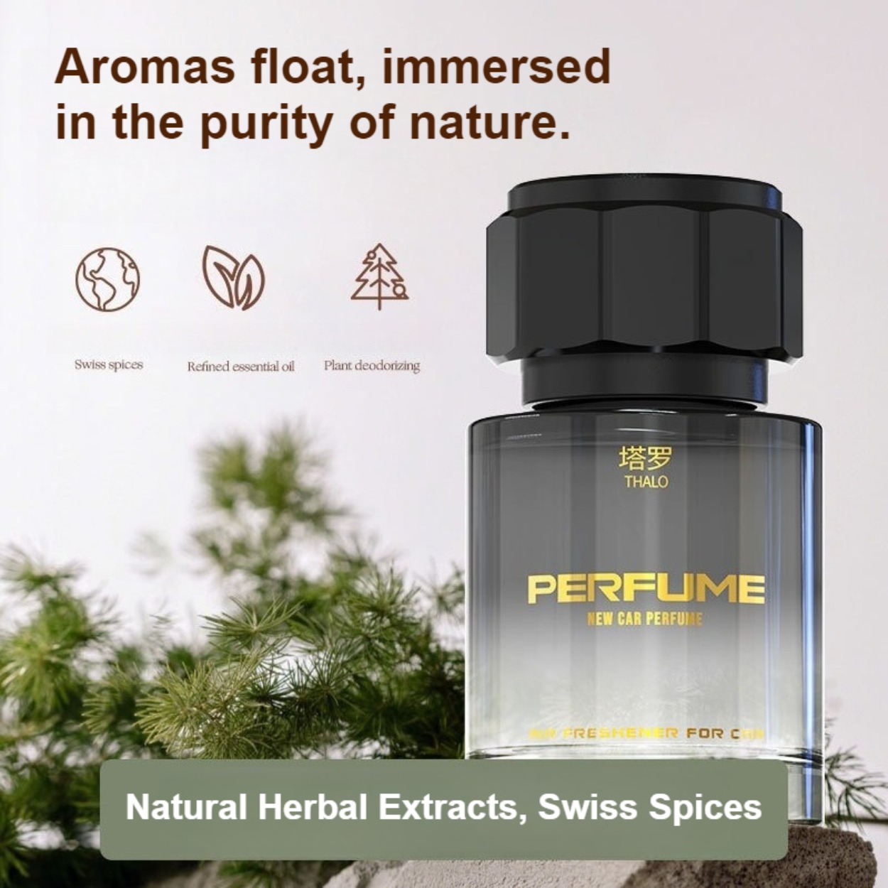 Men's Perfume: Long-Lasting, F - Perfume Fresh Fragrance 리뷰 및 가격
